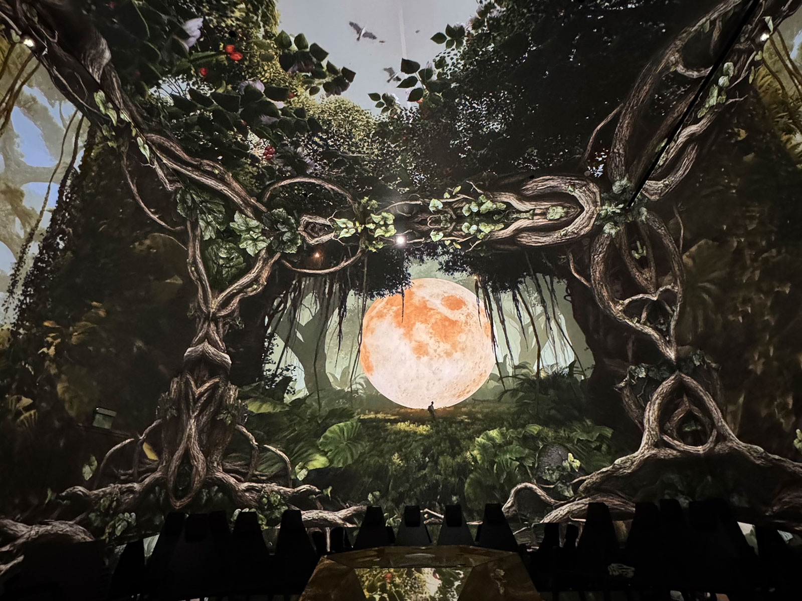 The Forest of Infinite Secrets at Pixim World Gallery, Budapest