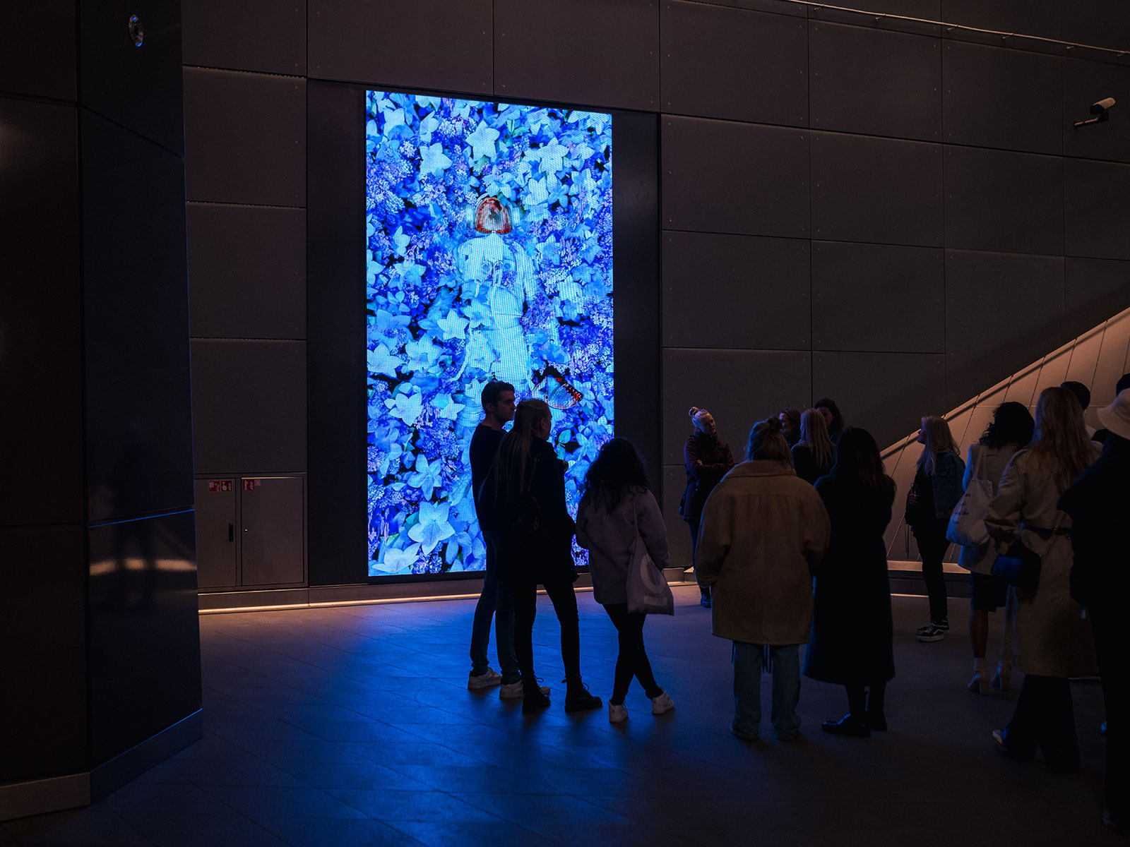 Museumnacht Amsterdam Digital Art Installation