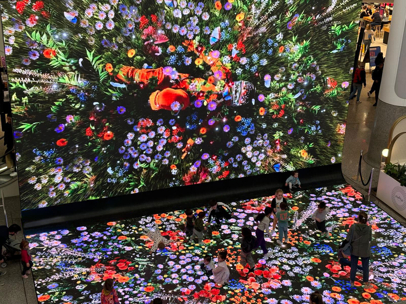 Rank SSS in Artpoint’s Curated Digital Art Program, France 