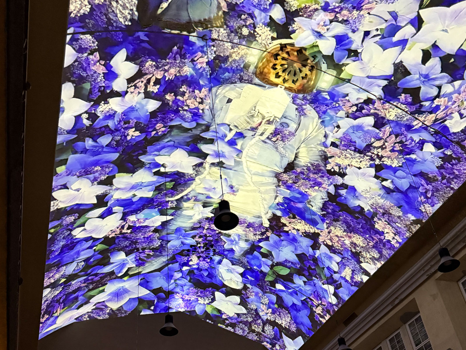 Digital Visual Exhibition for Stadtbad, Berlin